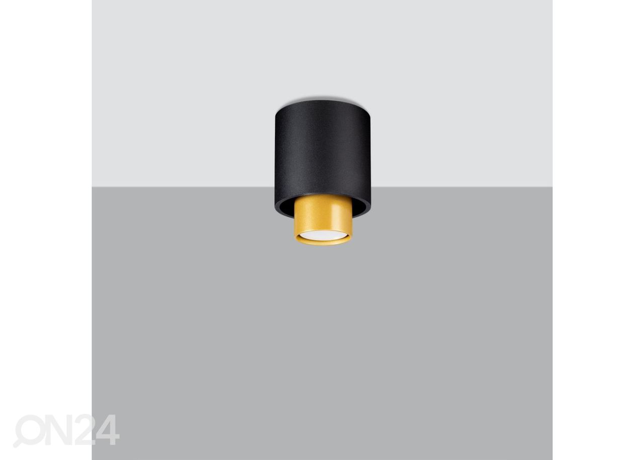 Kattovalaisin Nesi, musta kuvasuurennos