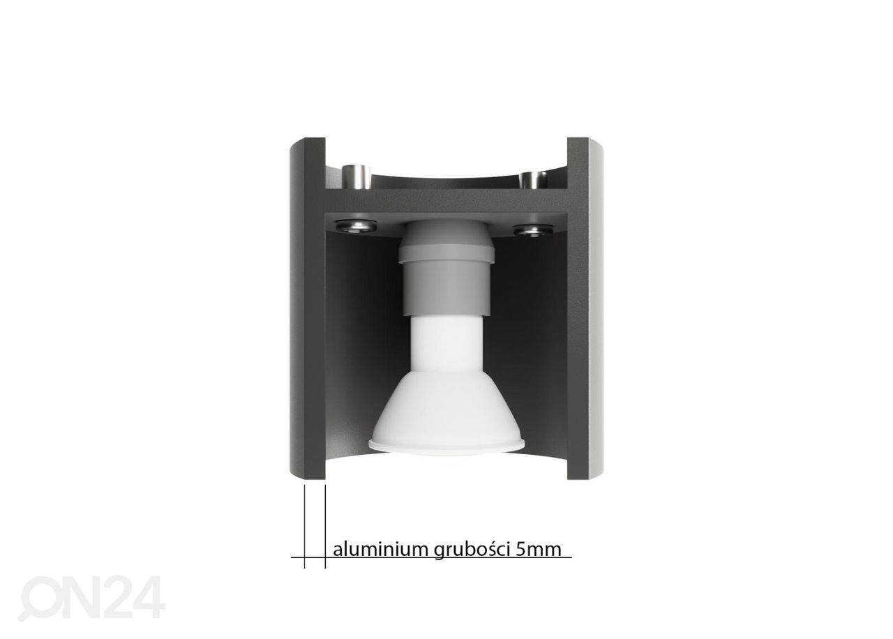 Kattovalaisin Nesi, musta kuvasuurennos