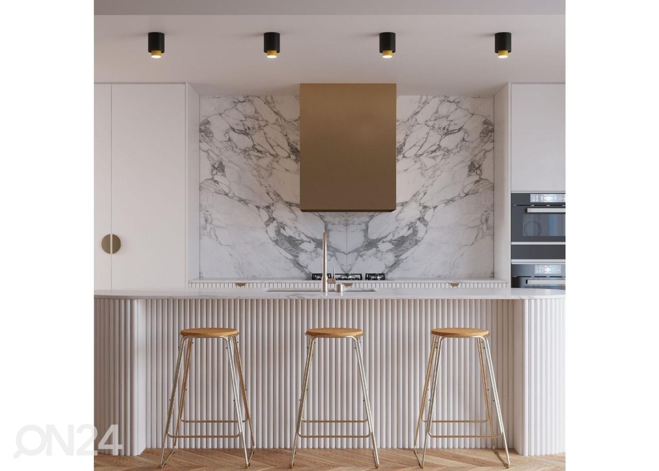 Kattovalaisin Nesi, musta kuvasuurennos