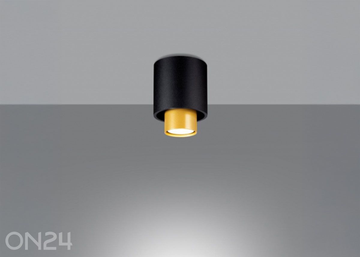 Kattovalaisin Nesi, musta kuvasuurennos