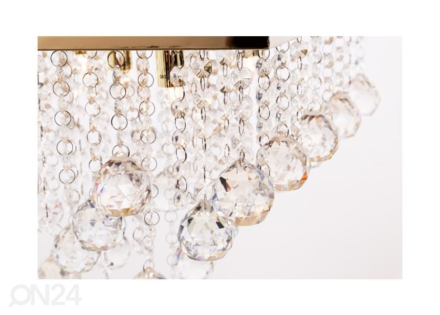 Kattovalaisin Rangel Gold kuvasuurennos