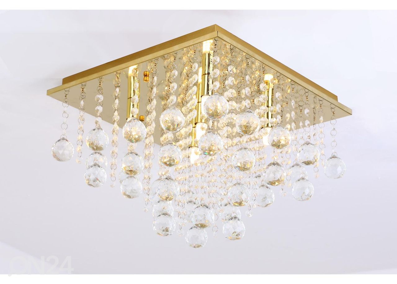 Kattovalaisin Rangel Gold kuvasuurennos