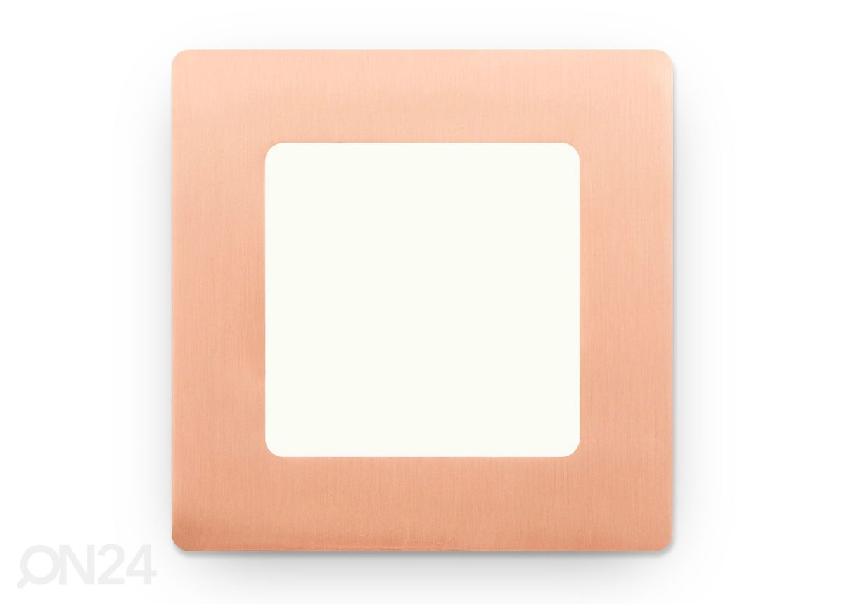 Kattovalaisin Ska 17x17 cm kuvasuurennos