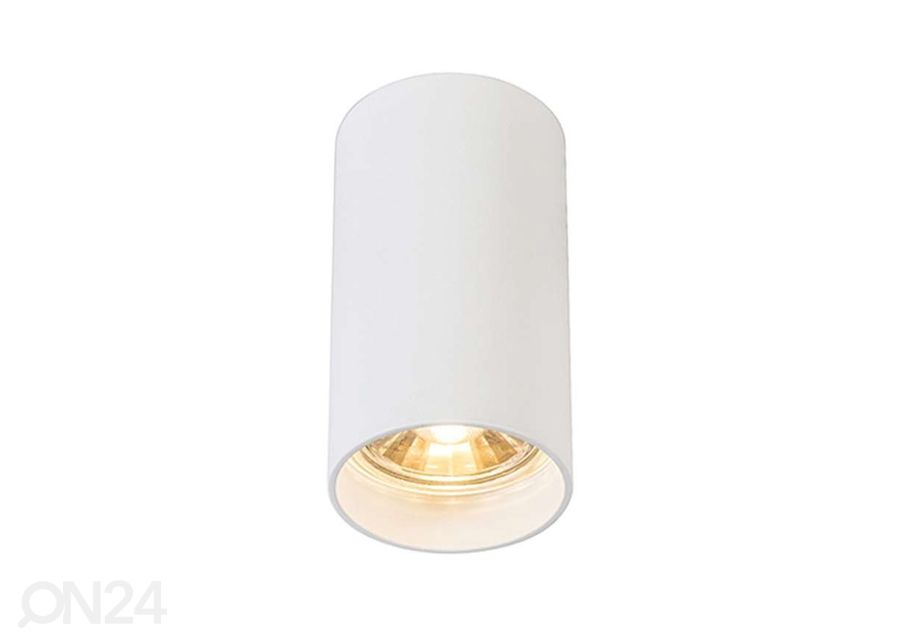 Kattovalaisin Tuba SL1 kuvasuurennos
