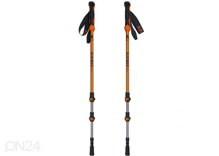 Kävelysauvat Alpinus Monte Rosa NX43599 kuvasuurennos