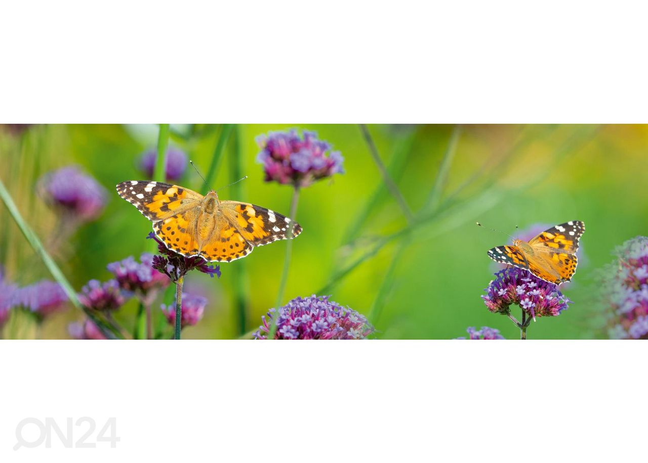 Keittiön välitilan tapetti Butterflies 180x60 cm kuvasuurennos