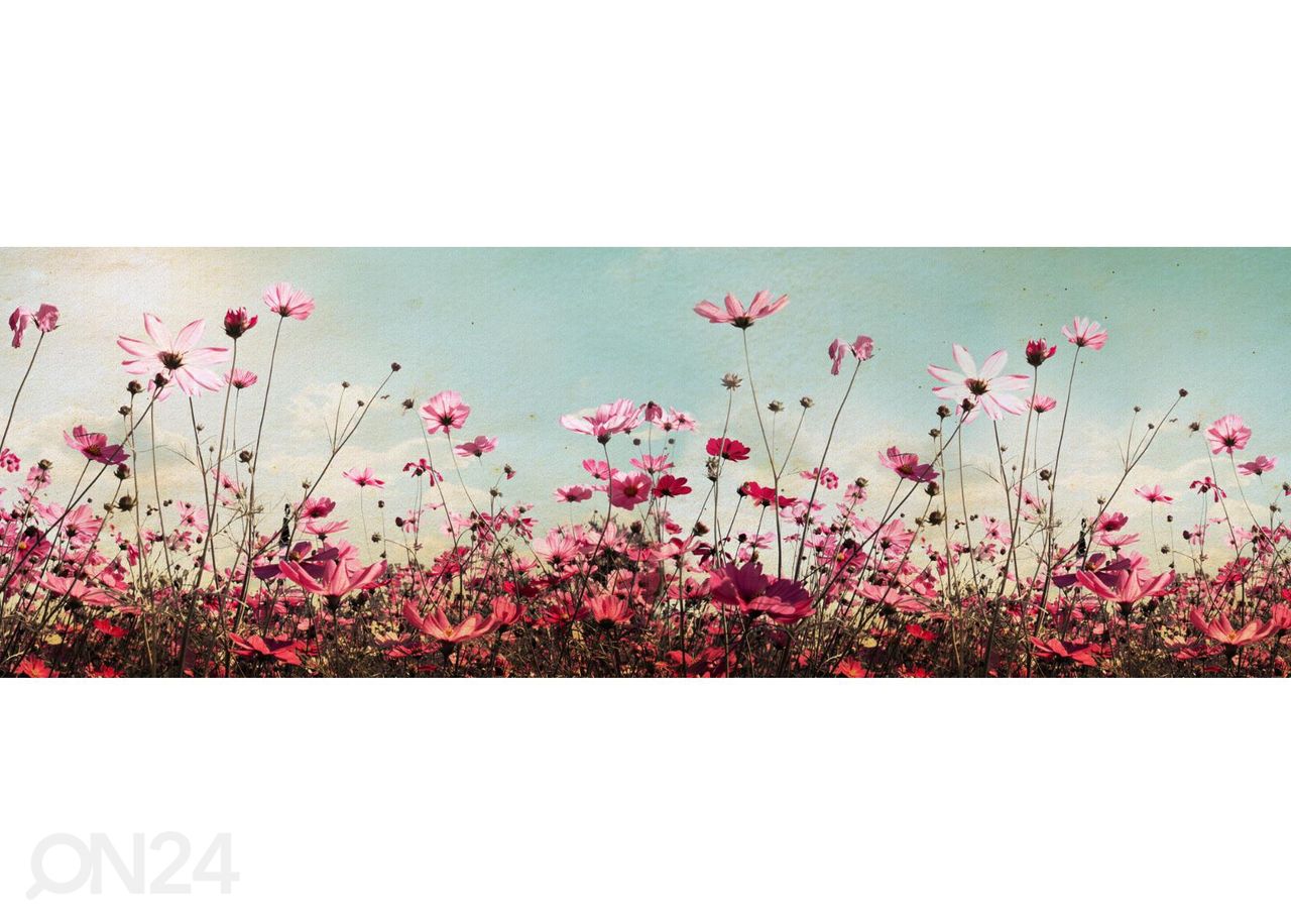 Keittiön välitilan tapetti Cosmos flowers 180x60 cm kuvasuurennos