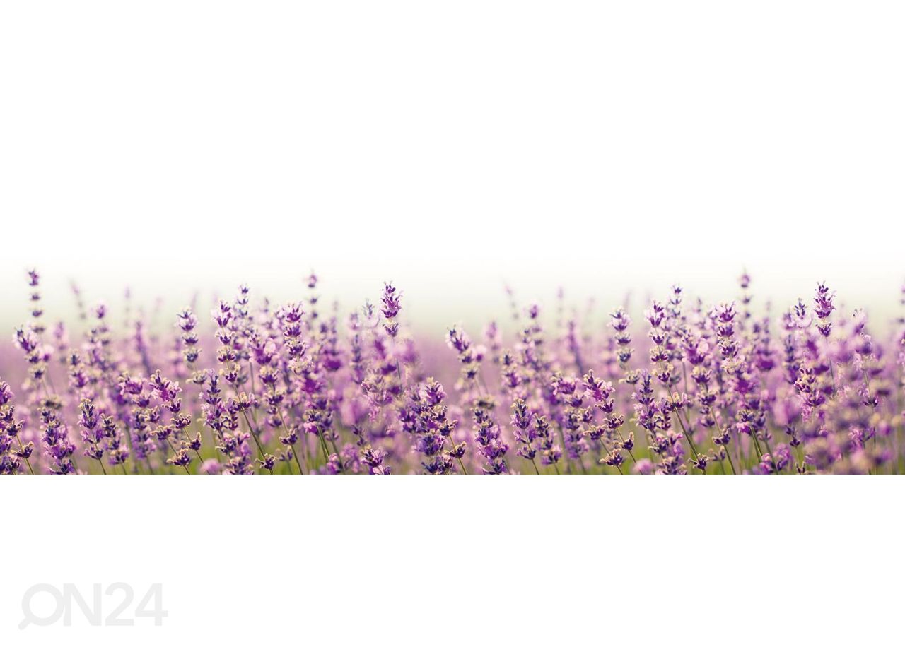 Keittiön välitilan tapetti Fabulous lavender 180x60 cm kuvasuurennos