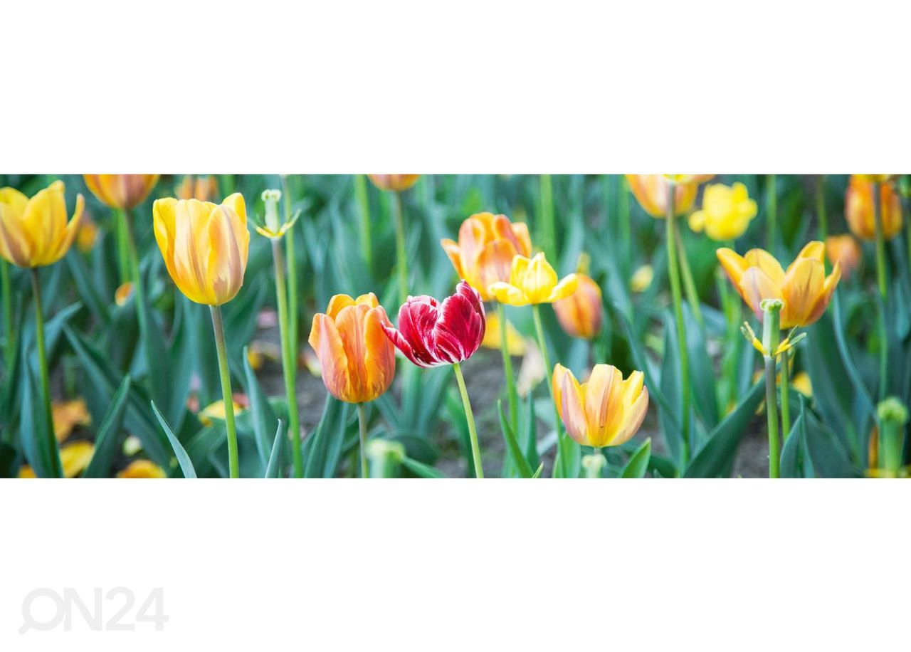 Keittiön välitilan tapetti Spring flowers 180x60 cm kuvasuurennos