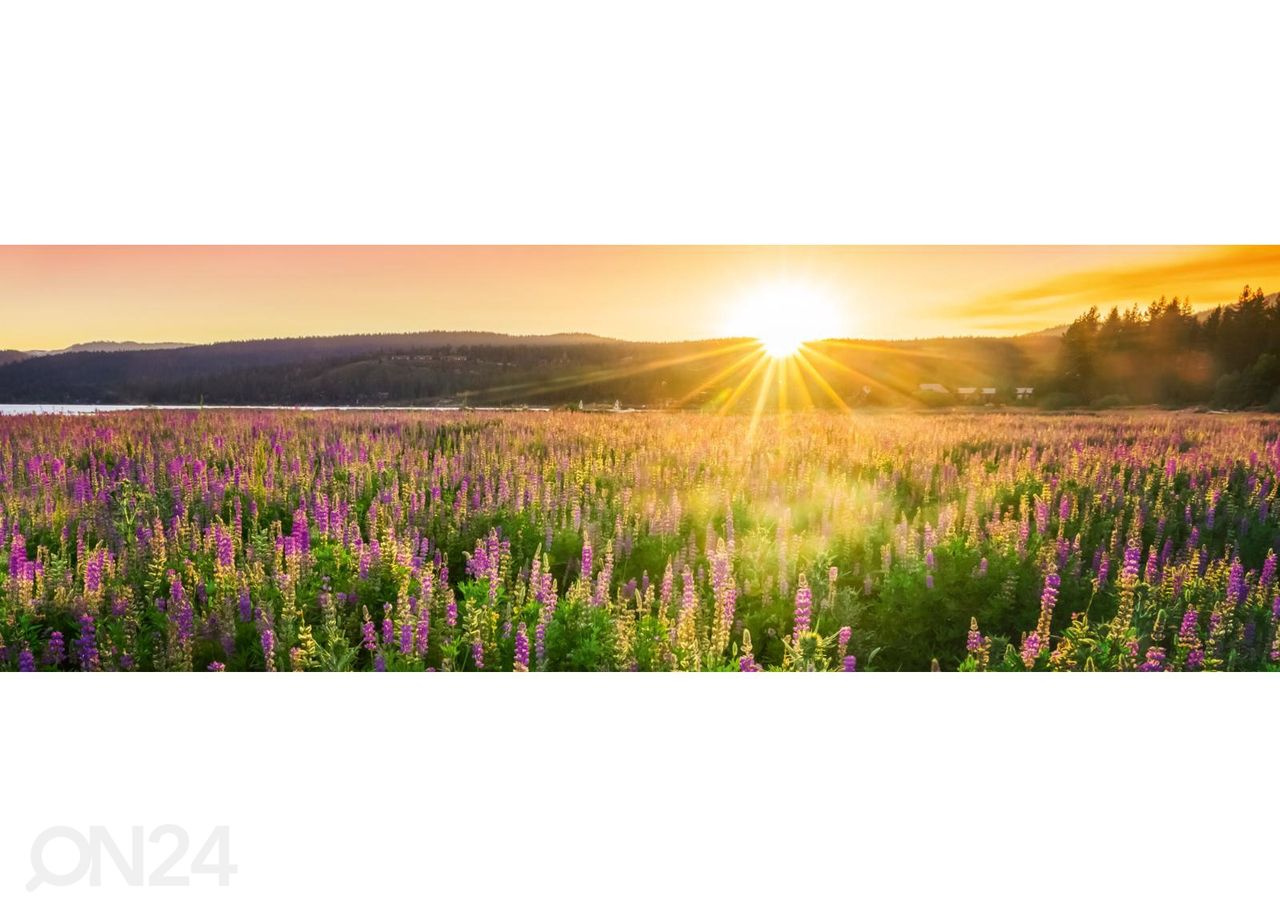 Keittiön välitilan tapetti Sunset over field 180x60 cm kuvasuurennos