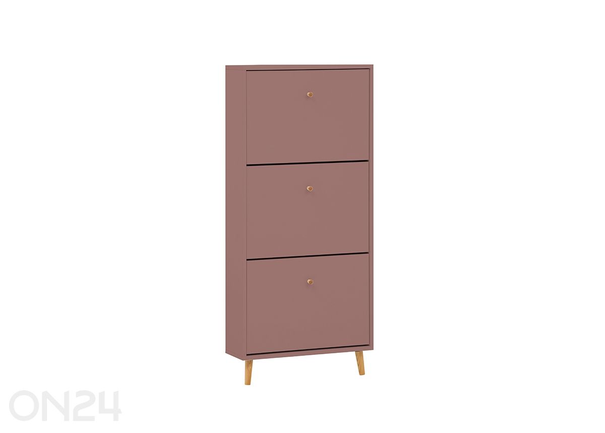 Kenkäkaappi Bjarne kuvasuurennos