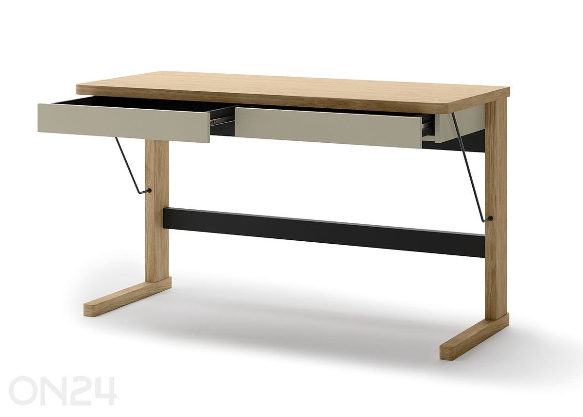 Kirjahylly Ollie kuvasuurennos