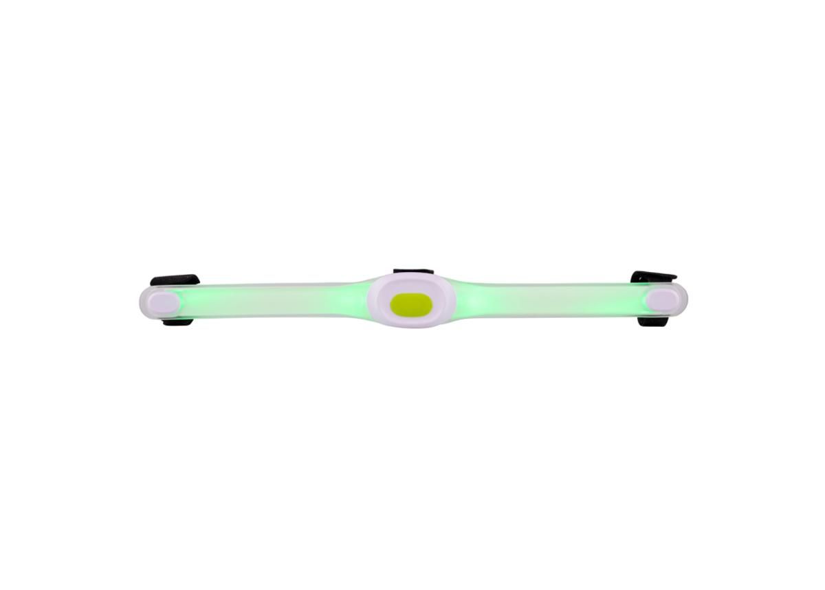 Koiran Led kaulapanta LED light Maxi kuvasuurennos