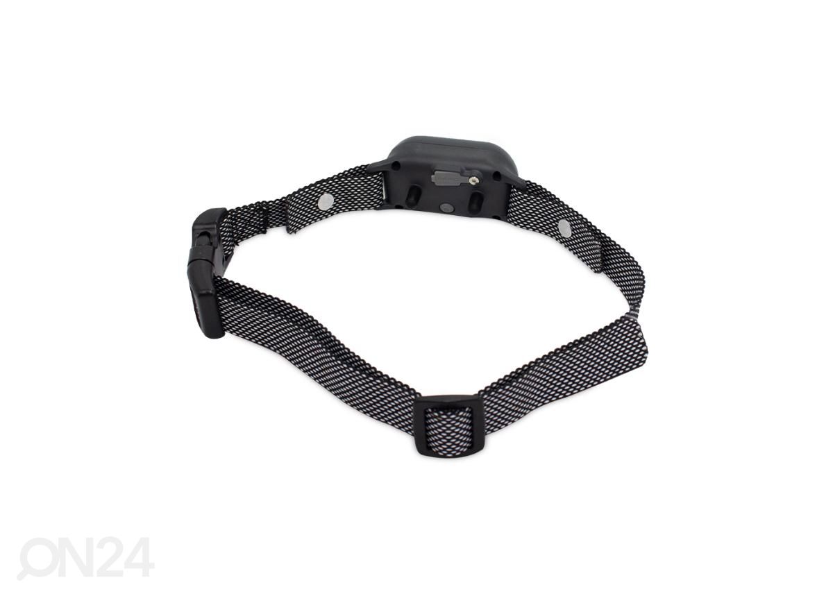 Koiran sähköpanta Patpet F3 Dual Premium kuvasuurennos