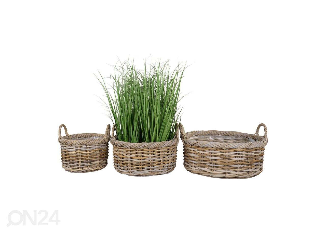 Korit / kukkaruukut Bạc Liêu, 3 kpl kuvasuurennos