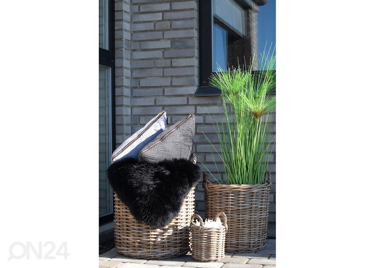 Korit / kukkaruukut Biên Hòa, 4 kpl kuvasuurennos