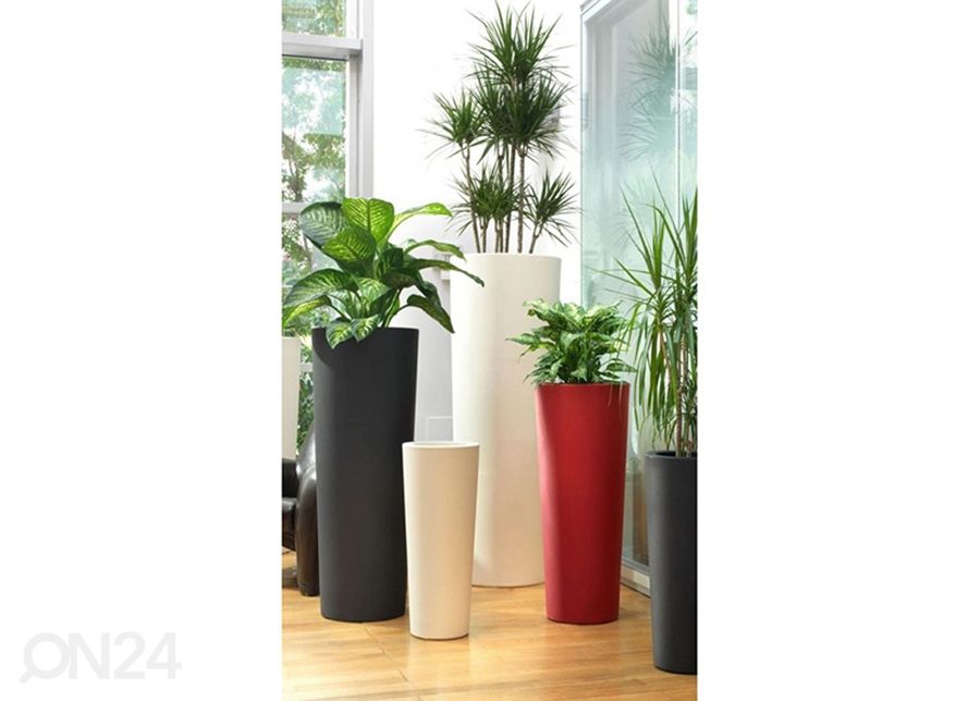 Kukkaruukku Schio Cono Essential Rosso Cardinale kuvasuurennos