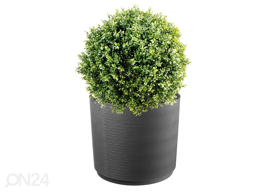 Kukkaruukku Urban Anthracite 3 KPL kuvasuurennos