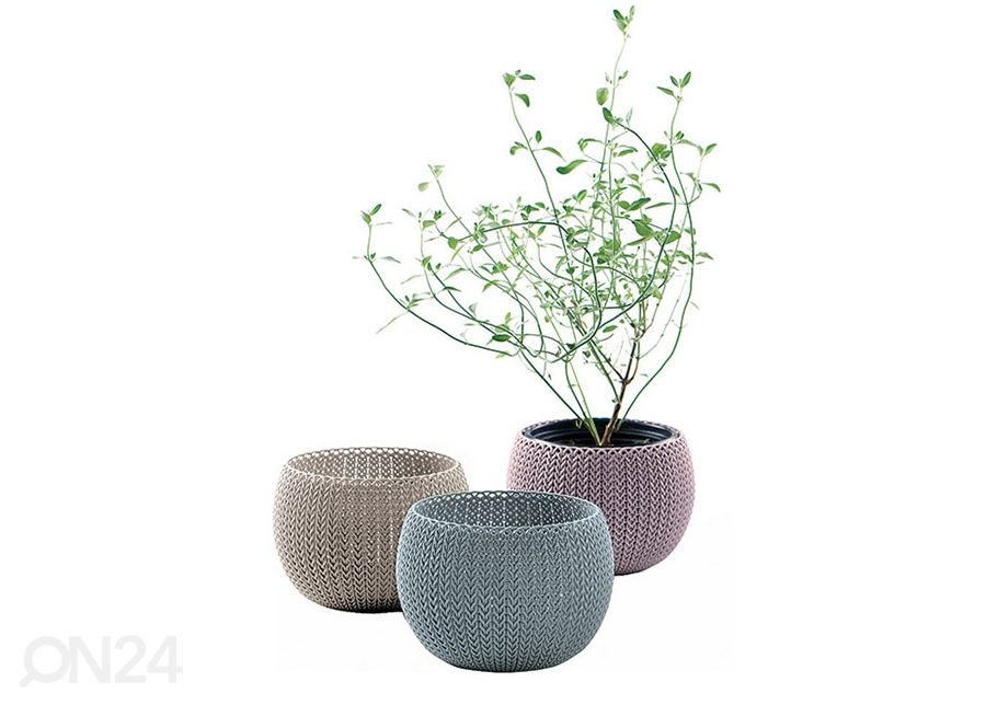 Kukkaruukut Keter Cozy, 3 kpl kuvasuurennos