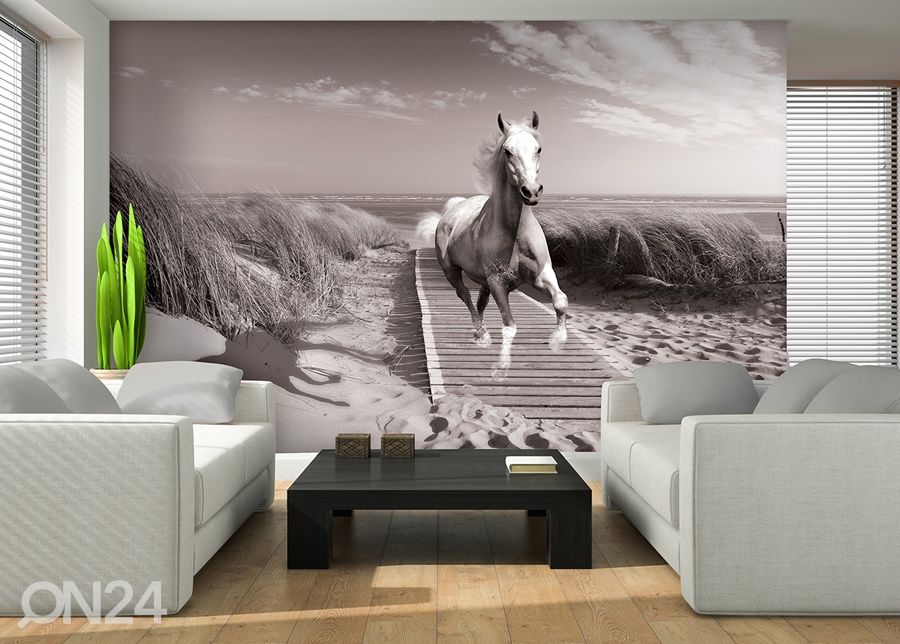 Kuvatapetti White Horse Beach Black And White 416x254 cm kuvasuurennos