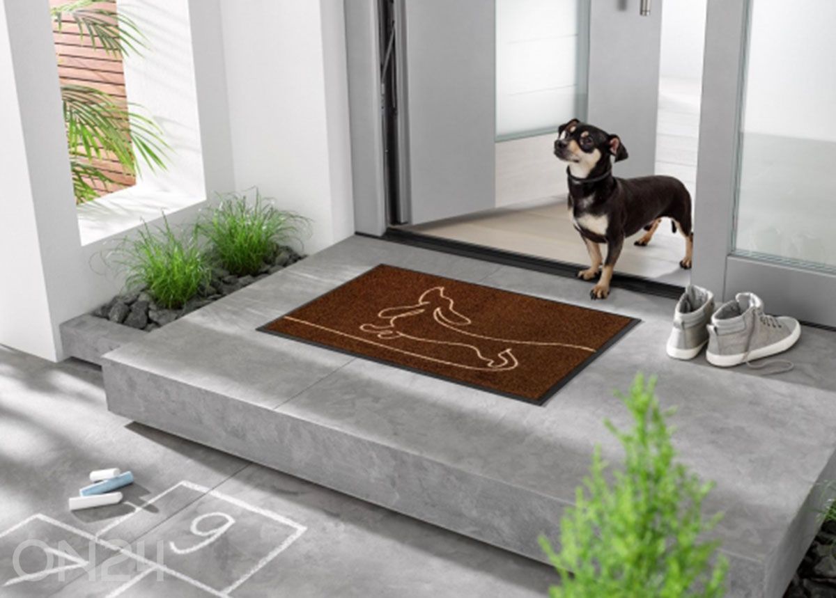 Kynnysmatto Daydreamer 50x75 cm kuvasuurennos