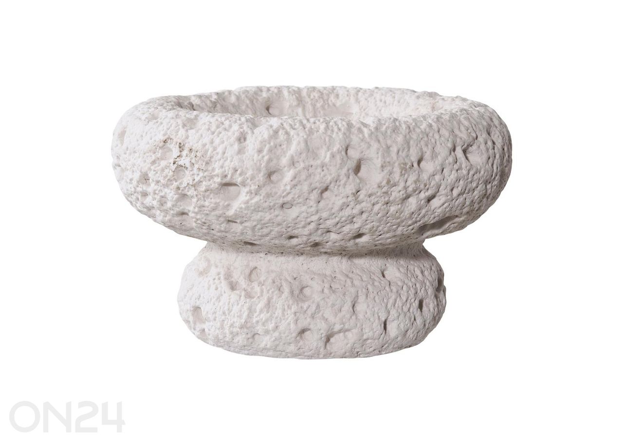 Kynttilänjalka, 2 kpl kuvasuurennos