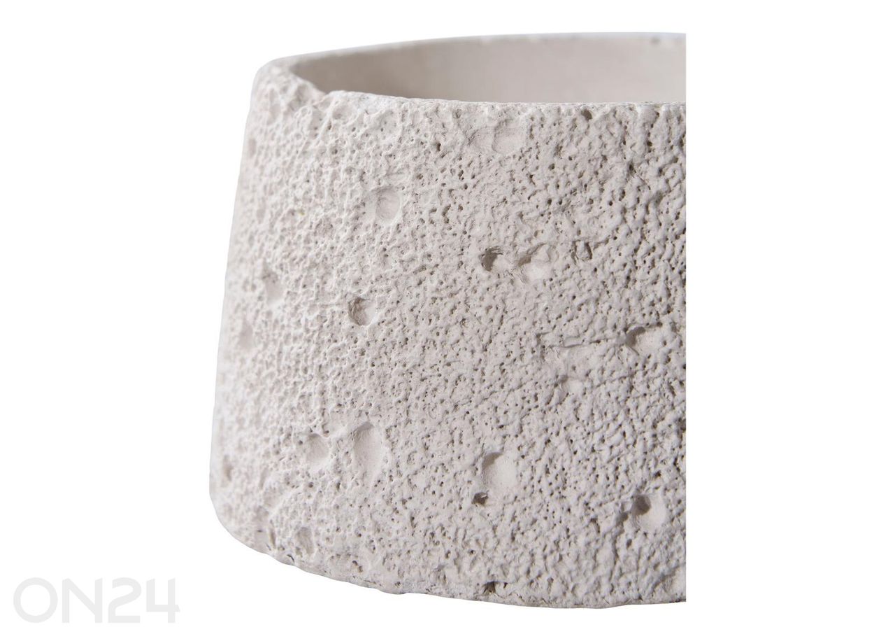 Kynttilänjalka, 2 kpl kuvasuurennos