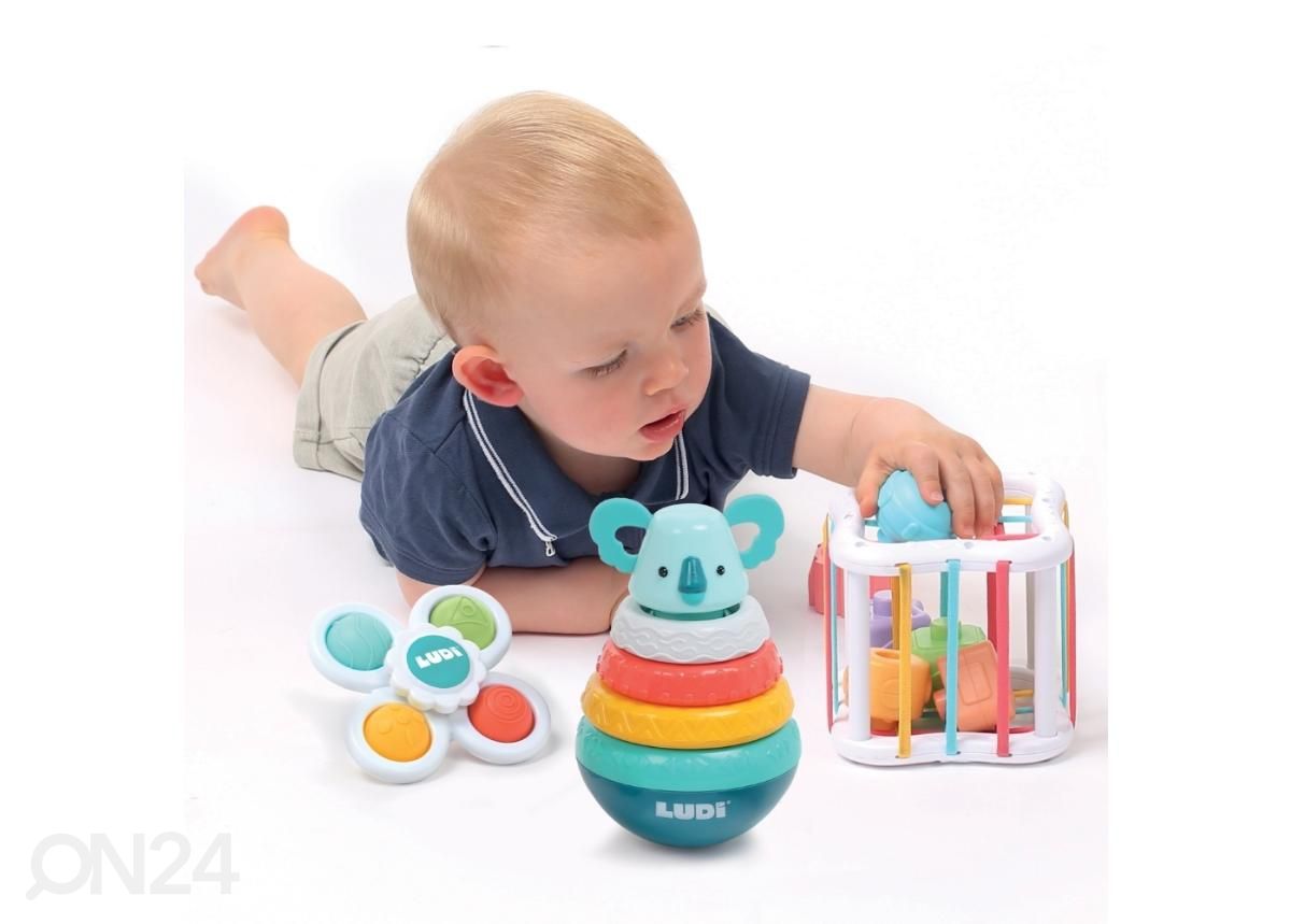 Lajoittelulelu Ludi kuvasuurennos