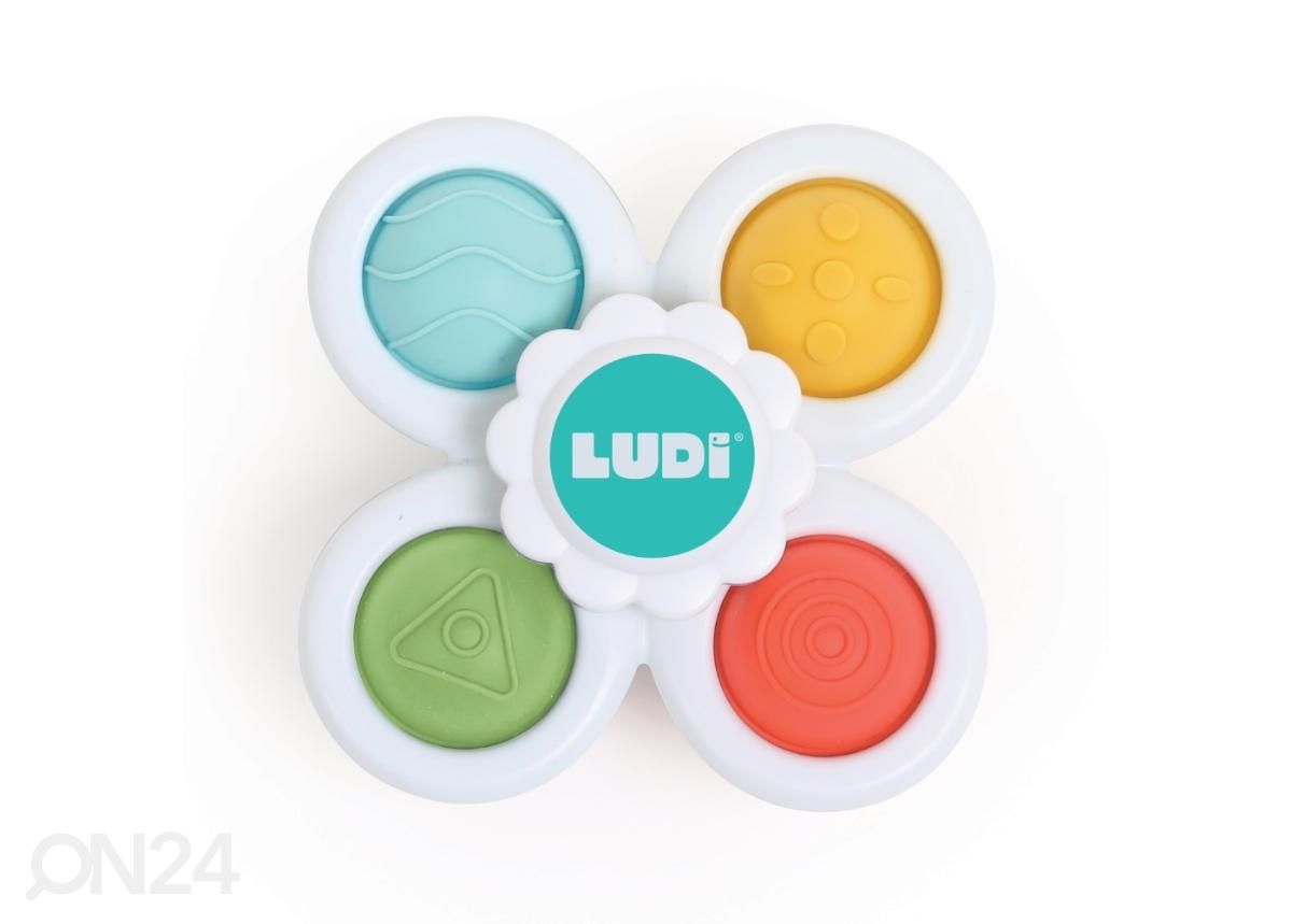 Lajoittelulelu Ludi kuvasuurennos