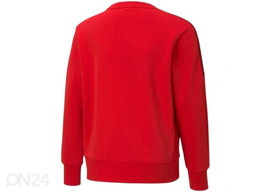 Lasten collegepaita Puma Alpha Crew FL kuvasuurennos