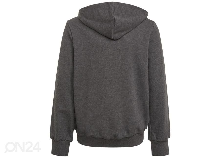 Lasten huppari Adidas Girls Bos Hoodie kuvasuurennos