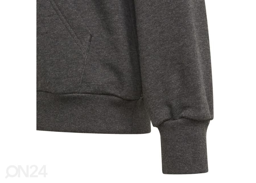 Lasten huppari Adidas Girls Bos Hoodie kuvasuurennos