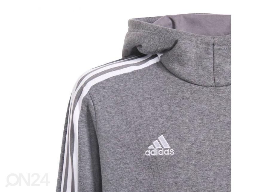 Lasten huppari Adidas Tiro 21 Sweat Hoody kuvasuurennos