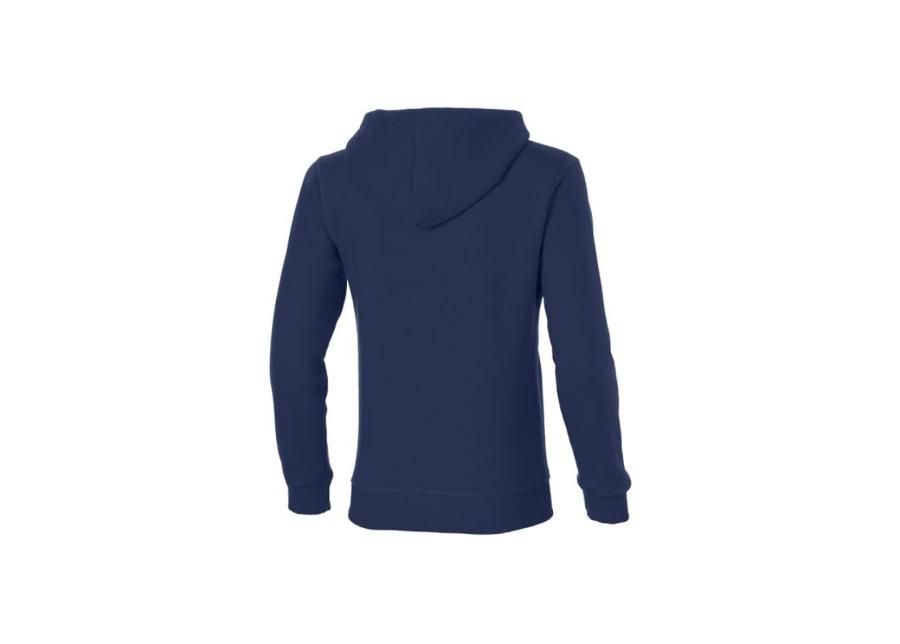 Lasten huppari Asics Graphic Hoodie Boys Junior 125093JR-8052 kuvasuurennos