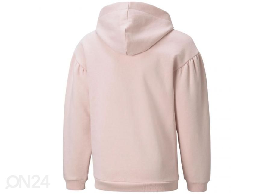 Lasten huppari Puma Alpha Hoodie FL kuvasuurennos