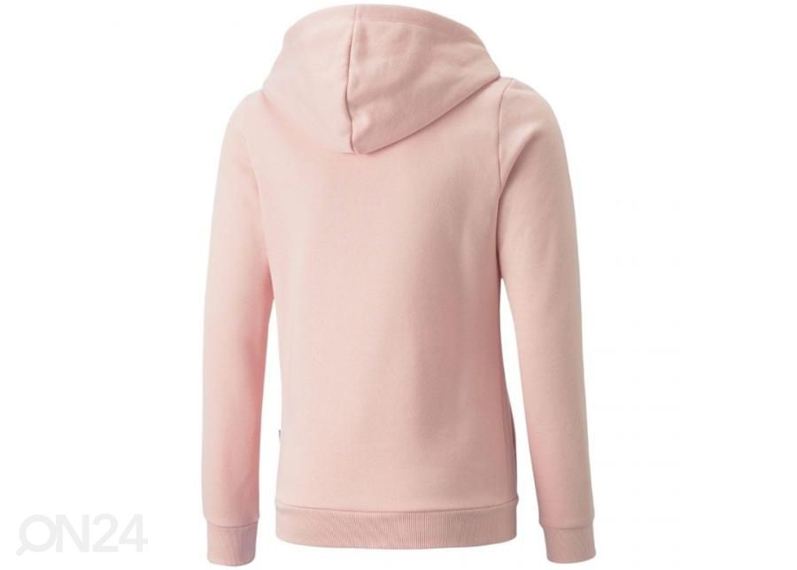 Lasten huppari Puma ESS Logo Hoodie FL kuvasuurennos