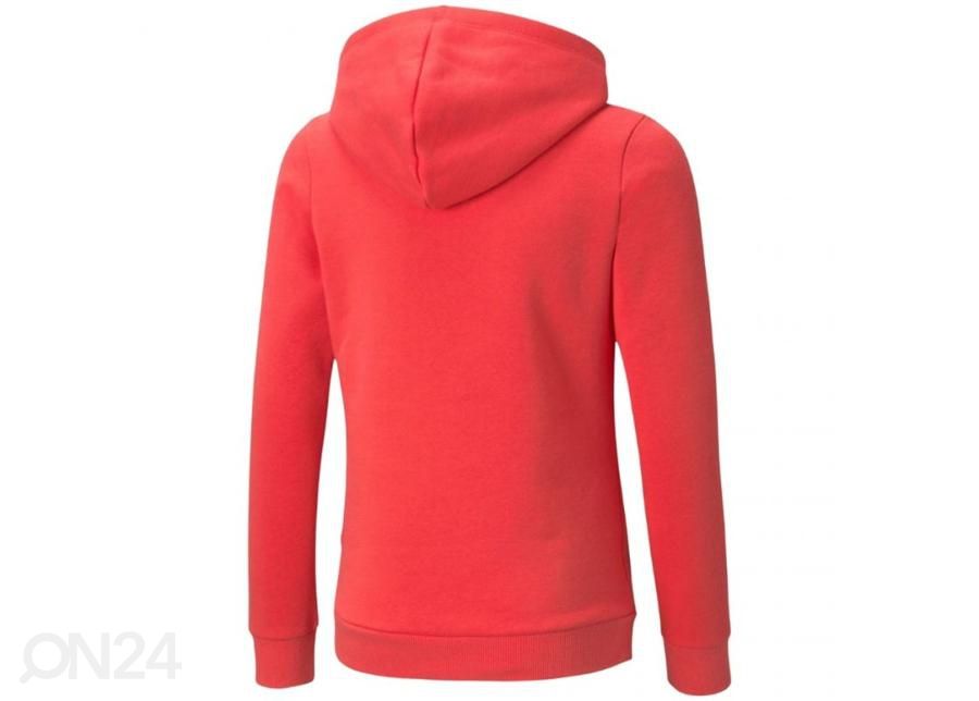 Lasten huppari Puma ESS Logo Hoodie FL kuvasuurennos