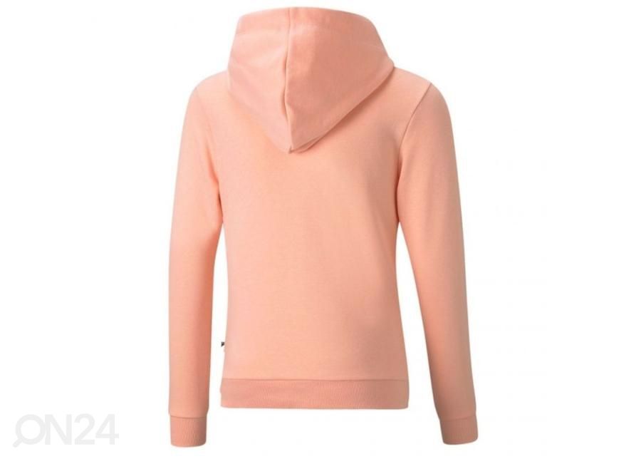 Lasten huppari Puma ESS Logo Hoodie TR kuvasuurennos