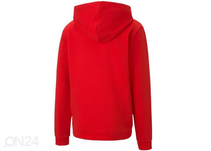 Lasten huppari Puma teamGOAL 23 Casuals kuvasuurennos