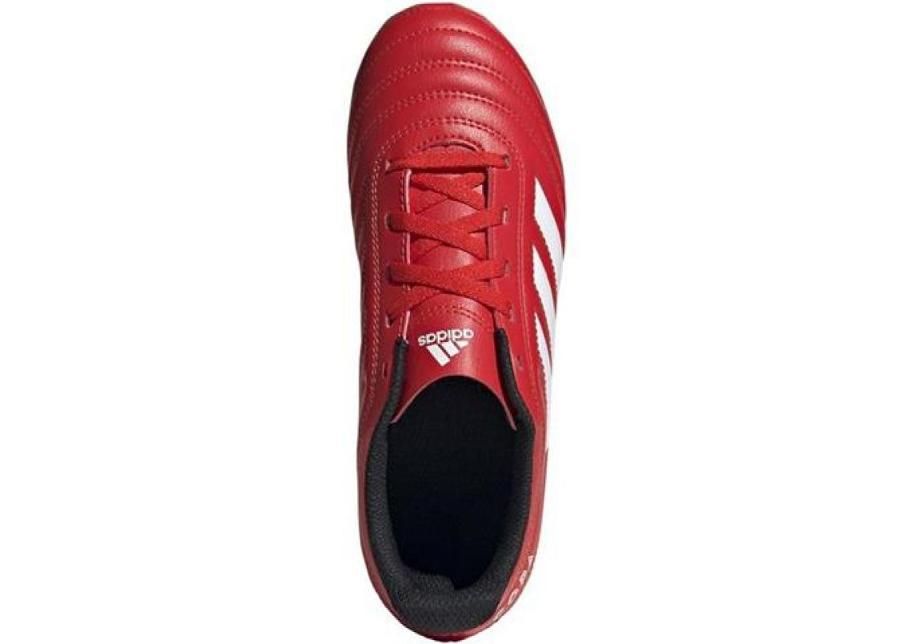 Lasten jalkapallokengät Adidas Copa 20,04 EF1919 FG JR kuvasuurennos