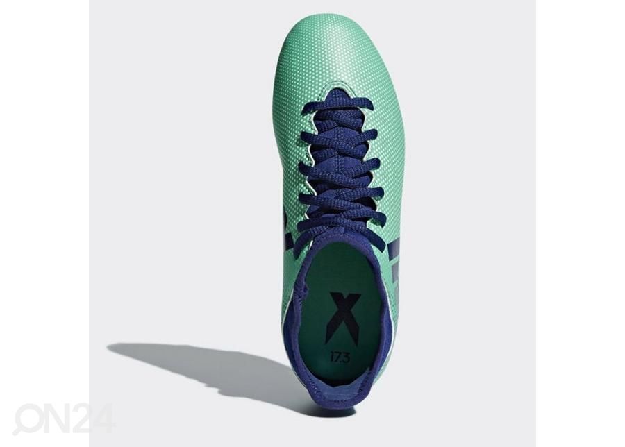 Lasten jalkapallokengät nurmikentälle Adidas X 17.3 FG Jr CP8993 kuvasuurennos