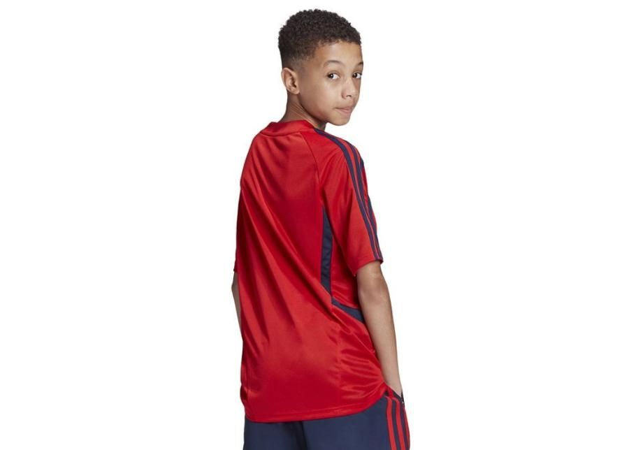 Lasten jalkapallopaita Adidas Arsenal TR JSY Y Junior EH5699 kuvasuurennos