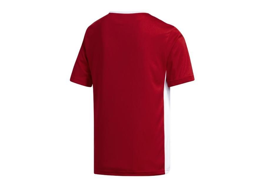 Lasten jalkapallopaita adidas Entrada 18 Jr CF1050 kuvasuurennos