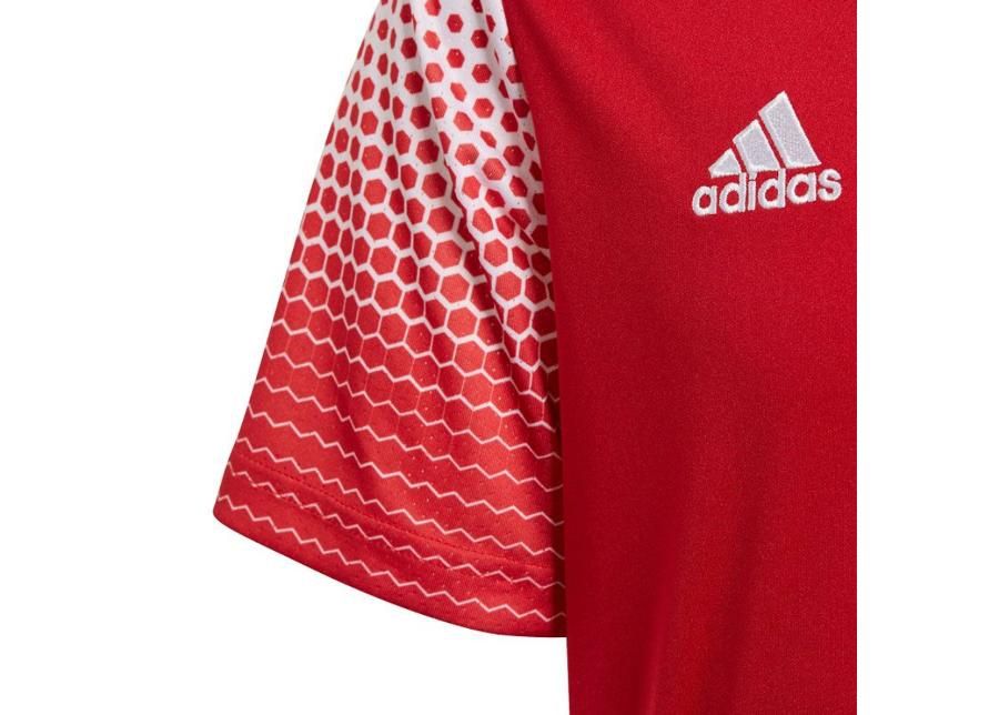 Lasten jalkapallopaita adidas Regista 20 Jr FI4565 kuvasuurennos