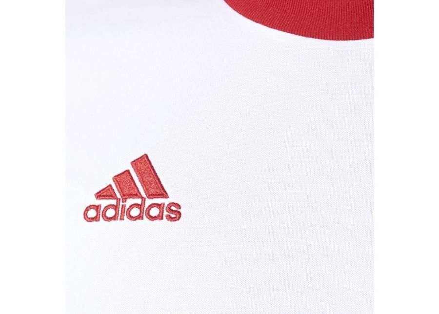 Lasten jalkapallopaita Adidas Squadra 17 Junior BJ9181 kuvasuurennos