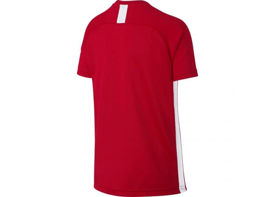 Lasten jalkapallopaita Nike B Dry Academy SS Junior AO0739-657 kuvasuurennos