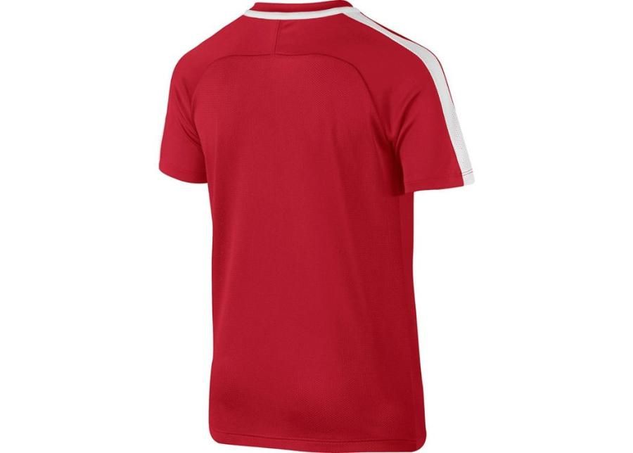 Lasten jalkapallopaita Nike Dry Academy 17 Junior 832969-657 kuvasuurennos