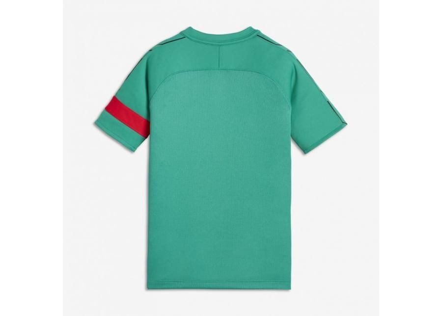 Lasten jalkapallopaita Nike Dry Academy CR7 Junior 894870-348 kuvasuurennos