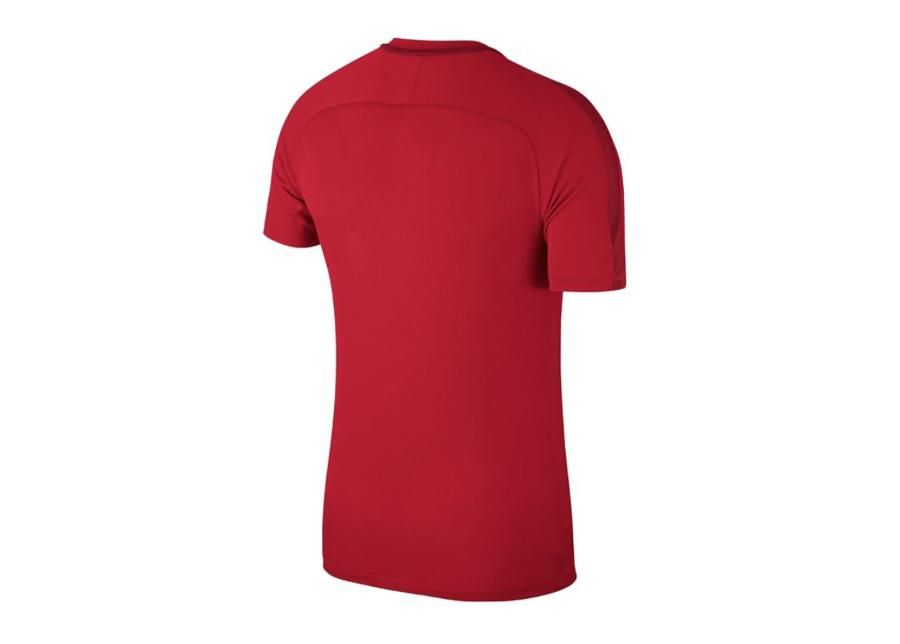 Lasten jalkapallopaita Nike JR Academy 18 Jr 893750-657 kuvasuurennos