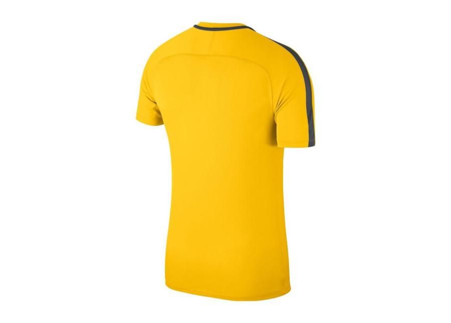 Lasten jalkapallopaita Nike JR Academy 18 Jr 893750-719 kuvasuurennos
